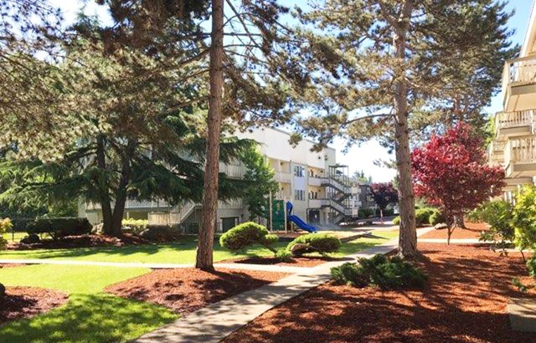 Exterior with trees and shrubs